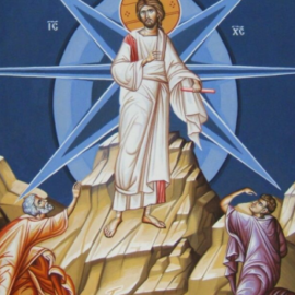 Domenica 1 Marzo 2026 – Riflessione di Don Pierfrancesco