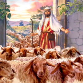 Riflessione di Don Pierfrancesco