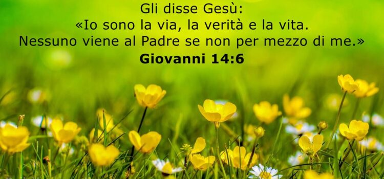 Riflessione di Don Pierfrancesco